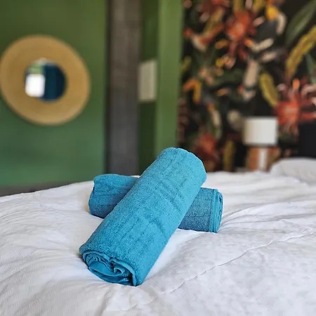 Stayinn Lindenau - Moderne Stye Apartments, Einzelbetten, Tv Wifi, Doppelbett アパート ライプツィヒ