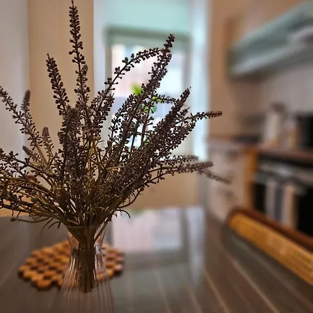 Stayinn Lindenau - Moderne Stye Apartments, Einzelbetten, Tv Wifi, Doppelbett Λειψία